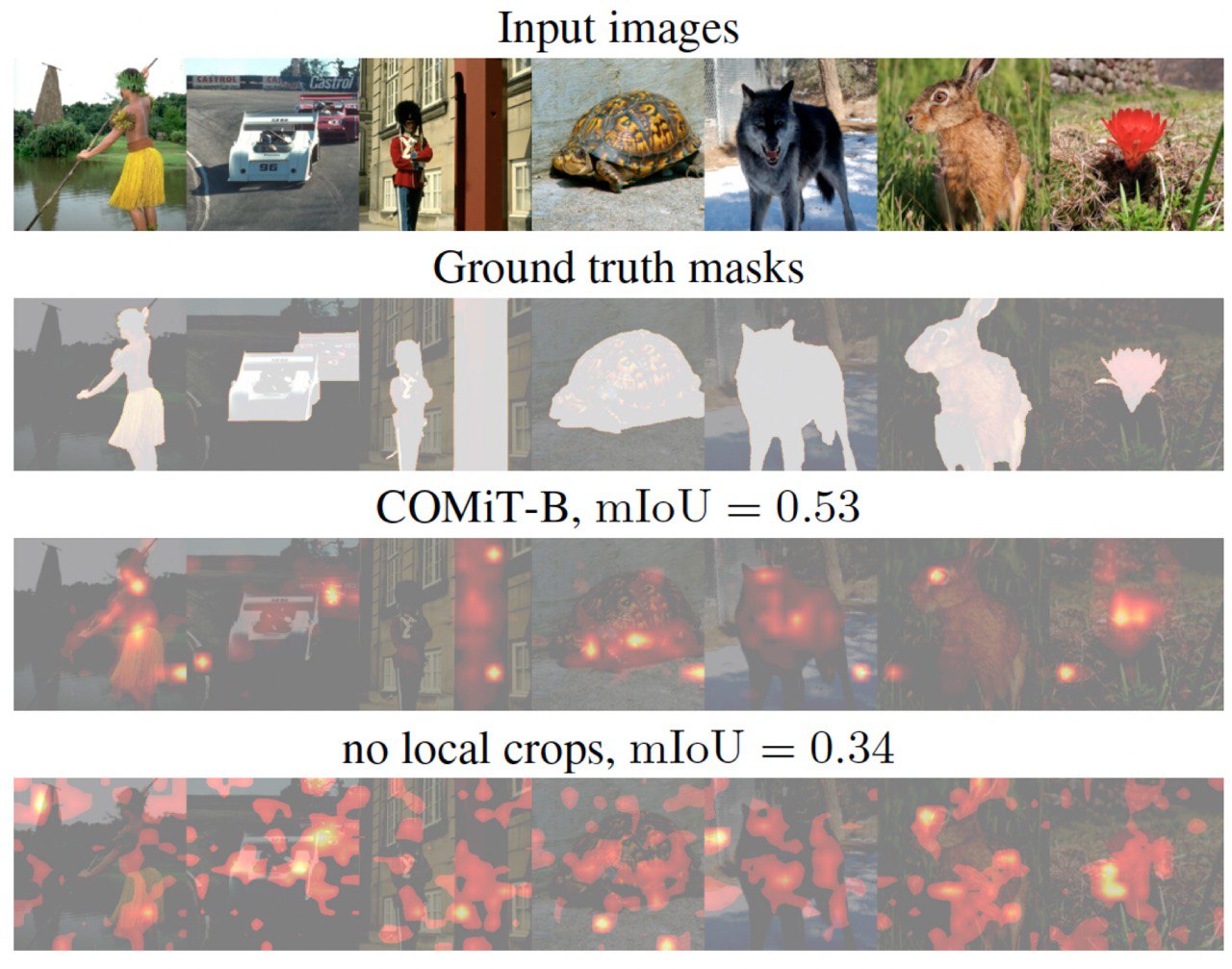 Token attention map comparison