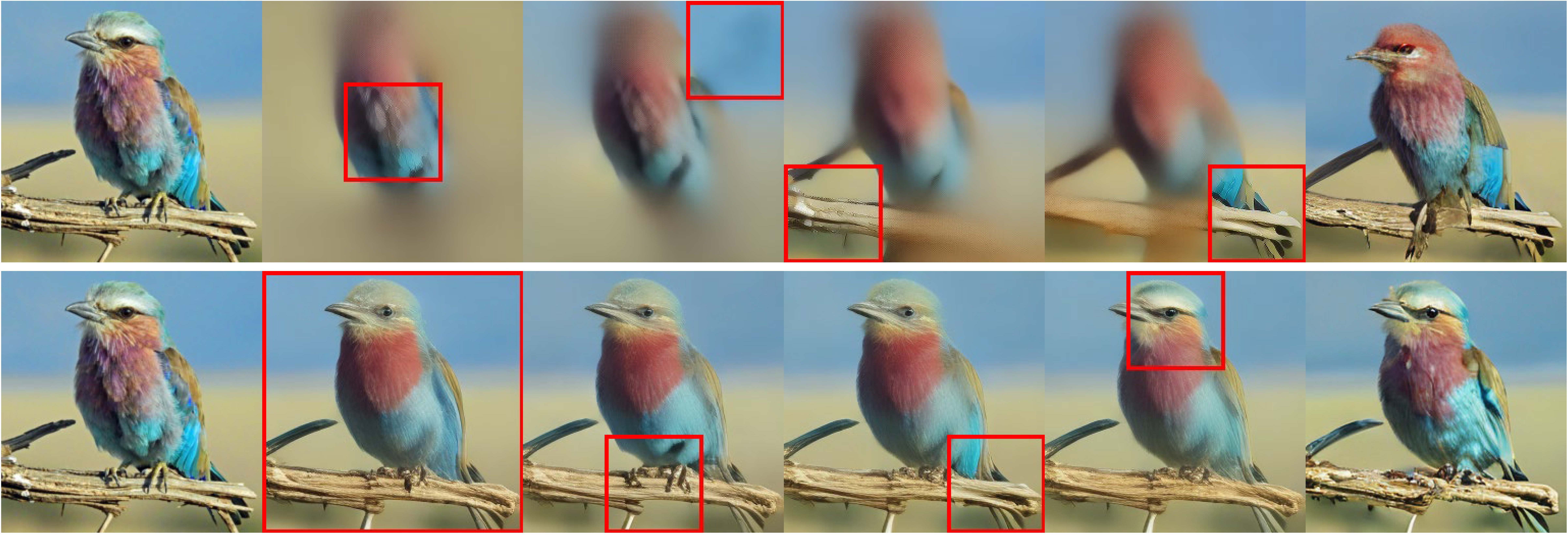 COMiT visualization 1