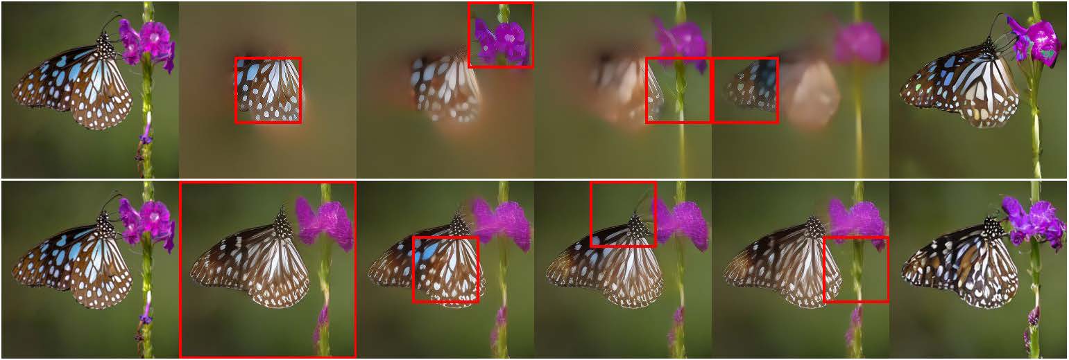 COMiT visualization 2
